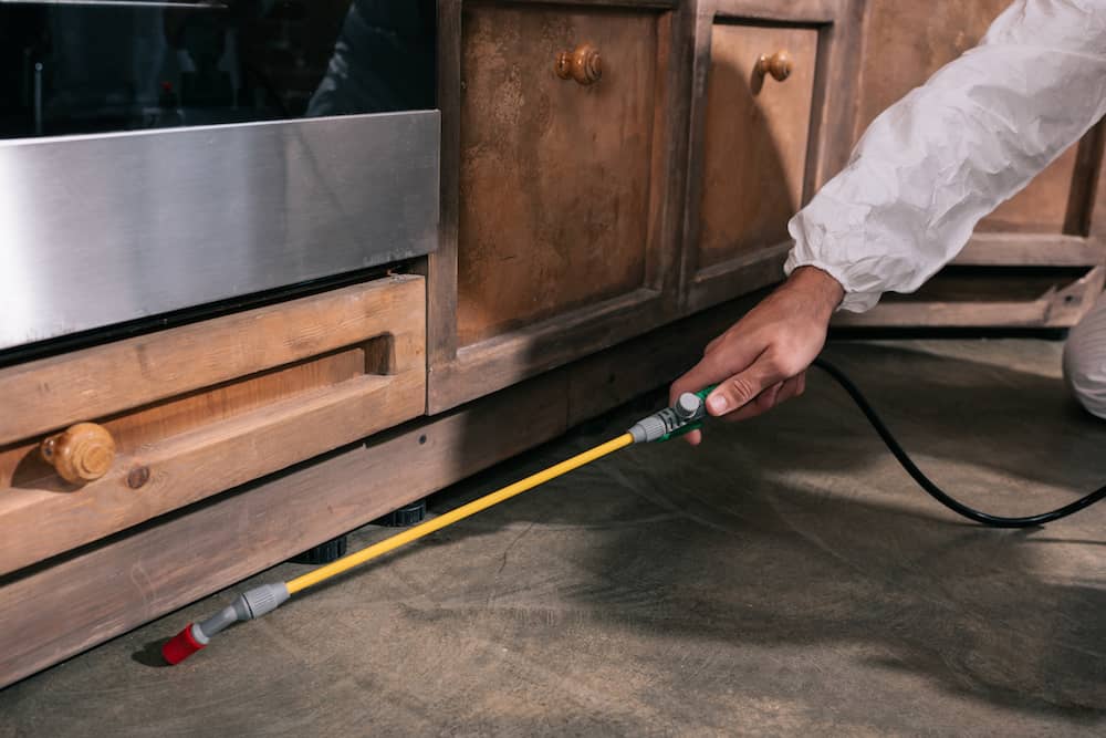 Owasso Pest Control Worker Sapulpa Rodent Control